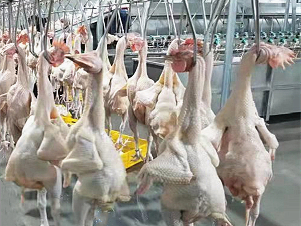 家禽屠宰臭氣怎么處理